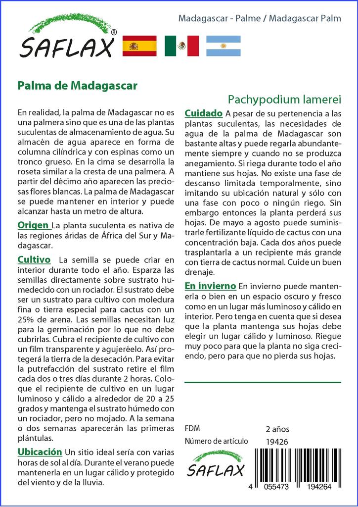 SAFLAX Garden in the Bag - Мадагаскарская пальма - 10 семян - С субстратом в подходящем пакете - Pachypodium lamerei