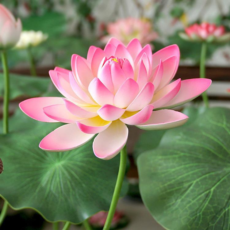 Танцевальные реквизиты «Цветок лотоса и лист лотоса» из ЭВА для декорации сценического оформления пруда