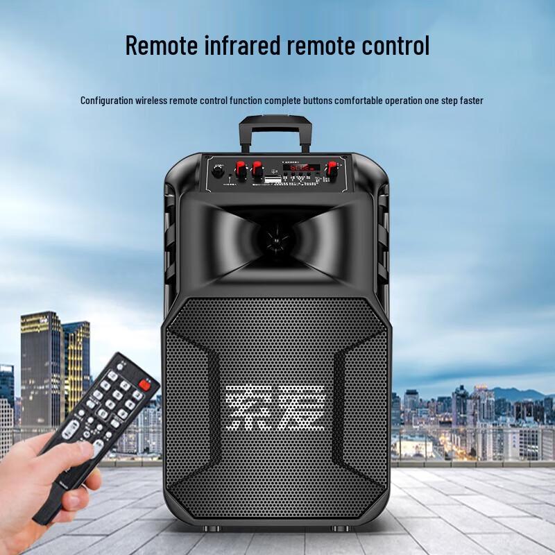 Soaiy SA-T25 Portable Outdoor KTV Speaker with Dual Microphones