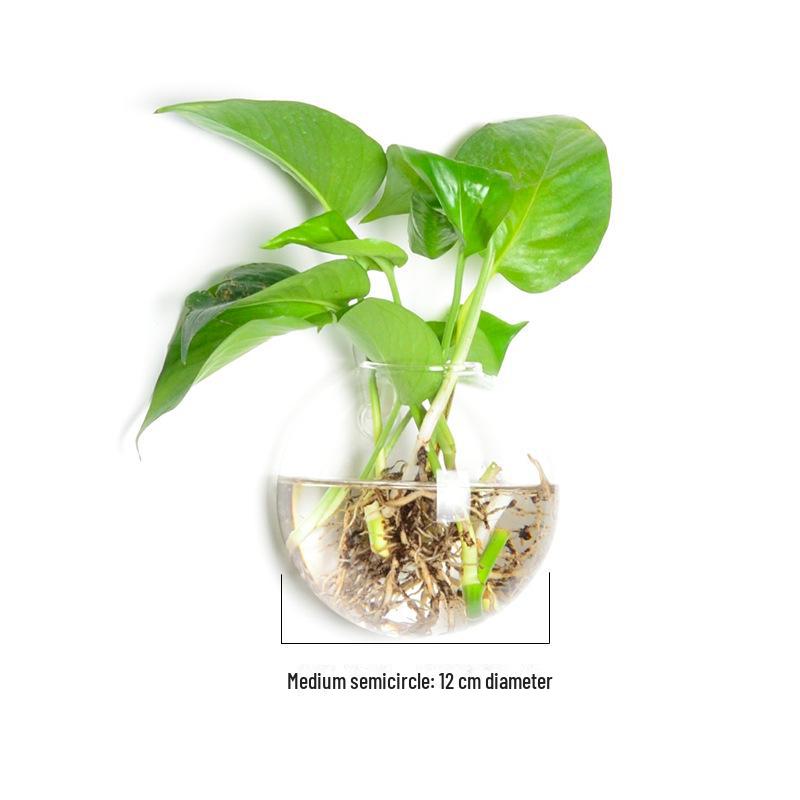 Ваза из выдувного стекла ручной работы для украшения стен и цветочных композиций