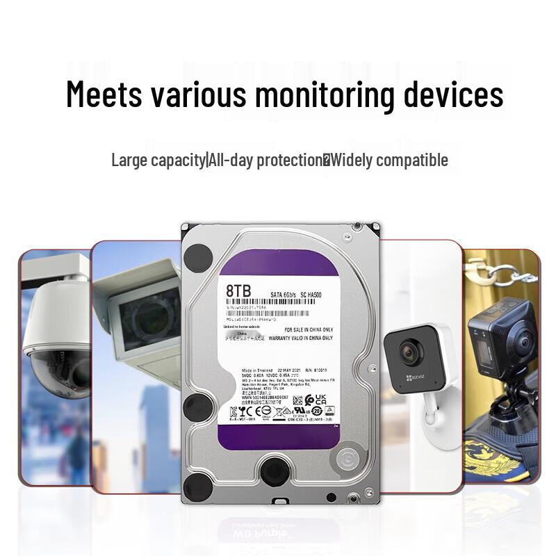 EAGET 3.5-inch Surveillance Hard Drive