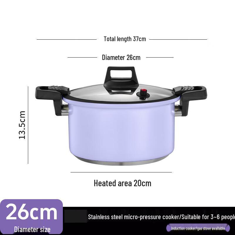 Stainless Steel Micro Pressure Cooker