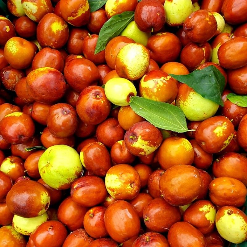 Домашний имбирный чай с экстрактом зизифуса, 100% отечественный чай из зизифуса, 100 мл, 30 шт.