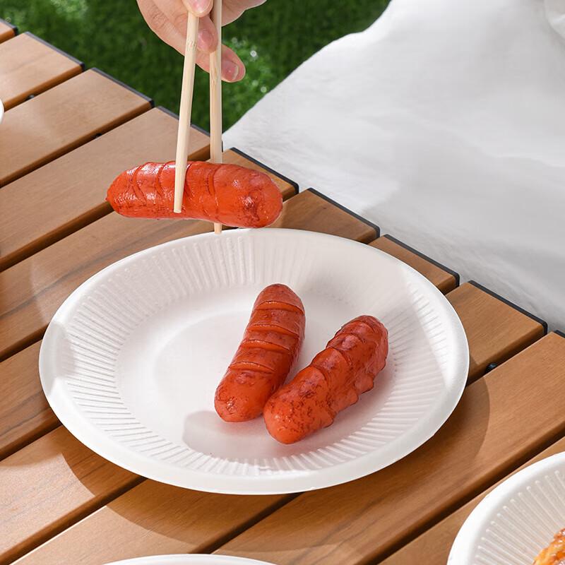 Disposable Paper Tableware Set