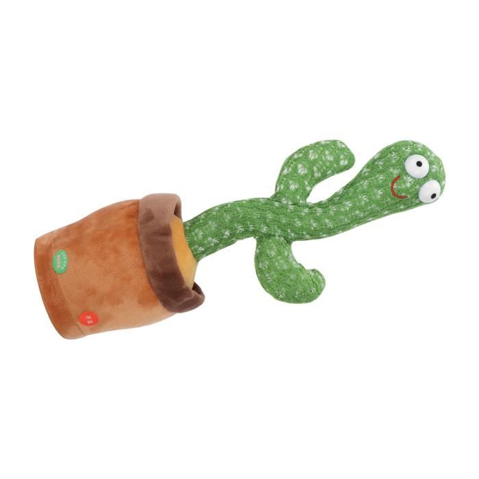 Peluche - DUO SHOP-STORY - CACTUS GRINGO - Danse et Chante - Enregistrement - Durable