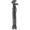 Manfrotto Серия 290 Двойной Алюминиевый Штатив с Головкой Комплект 3 секции 3-сторонняя (MK290DUA3-3W)