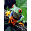 Полный 5D Diy Алмазная картина Тропический лес лягушка Алмазная вышивка Полный набор аниме Наборы для вышивки крестом Домашний декор Подарок ручной работы