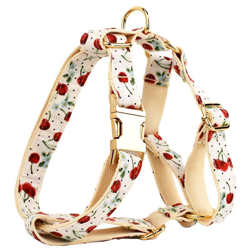 Шлейка для собак из нейлона, ошейник с персонализированным именем, ошейники для маленьких и средних собак, поводок, ошейник, набор, мешок для какашек, шлейка для щенков и кошек