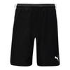 Puma Шорты Zqj 705151 03 Puma Teamliga Short Asia Sp