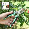 3 Pcs Pruning Shears Gardening Scissors Set Orchard Flower Branch Garden Multi-purpose Tool Household Stainless Steel Scissors