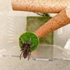 Magnetic Spider Hide Cave Handmade Natural Hide Jumping Spider Shelter Mini Decorative Magnetic Spider Habitat