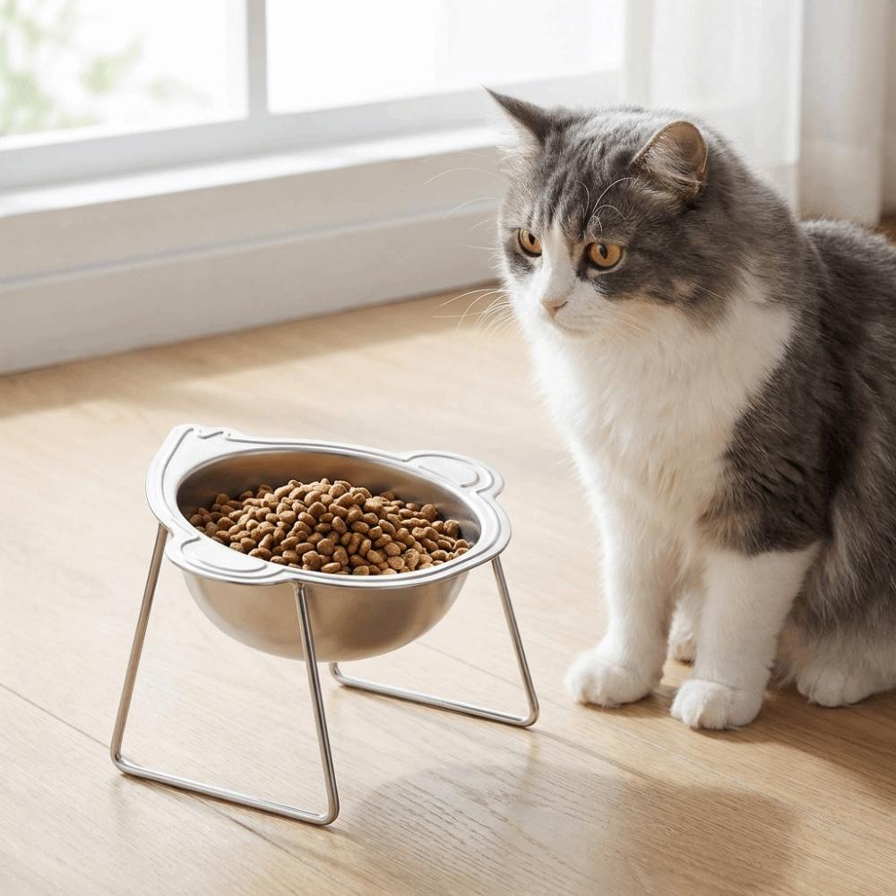 Stainless Steel Elevated Pet Bowl 15 Degree Inclined Pet Feeder Container Wet Dry Food