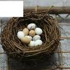 1Set Micro Landscaping Cane Handmade Bird Nest Bird Egg Air Pineapple Simulated Shooting Props