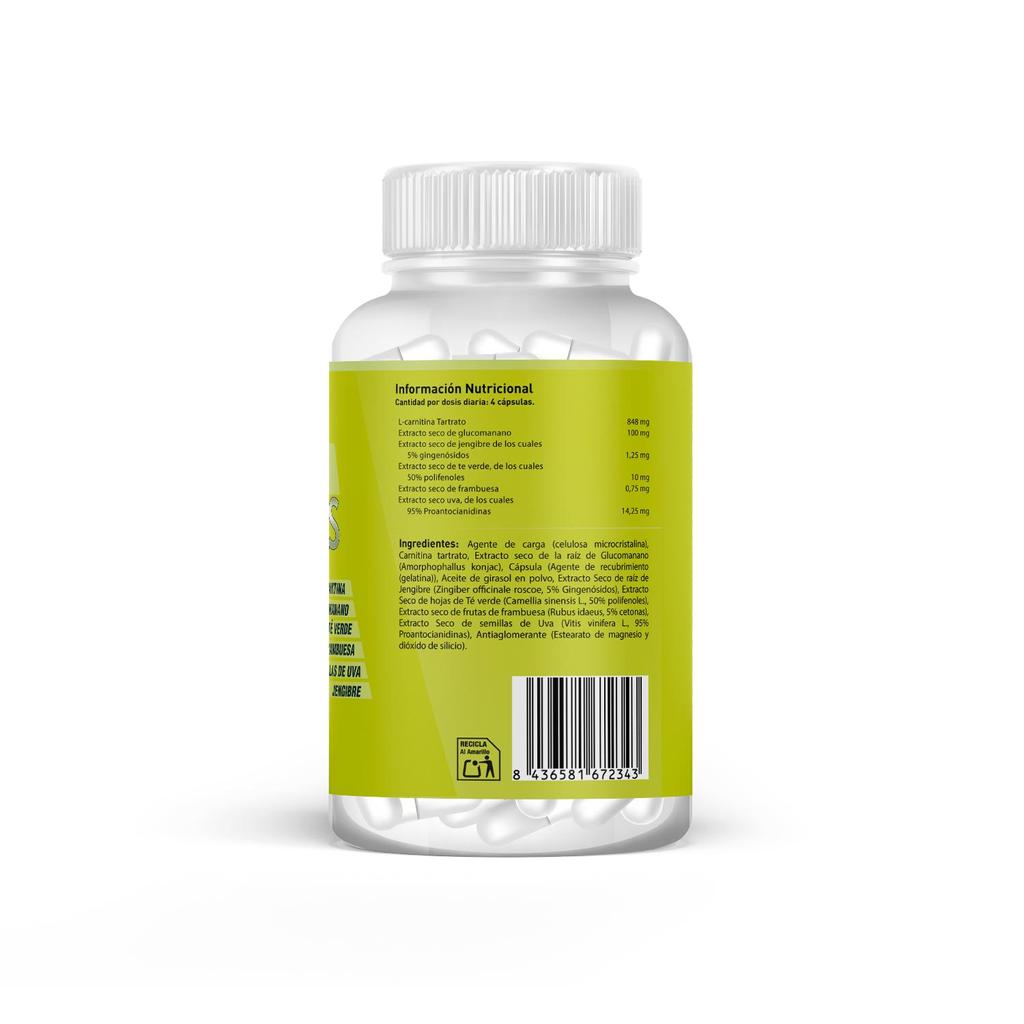 Healthy Fusion Powerful Fat Burner for Weight Loss | L-Carnitine + Green Tea + Raspberry Extract | 90 Count