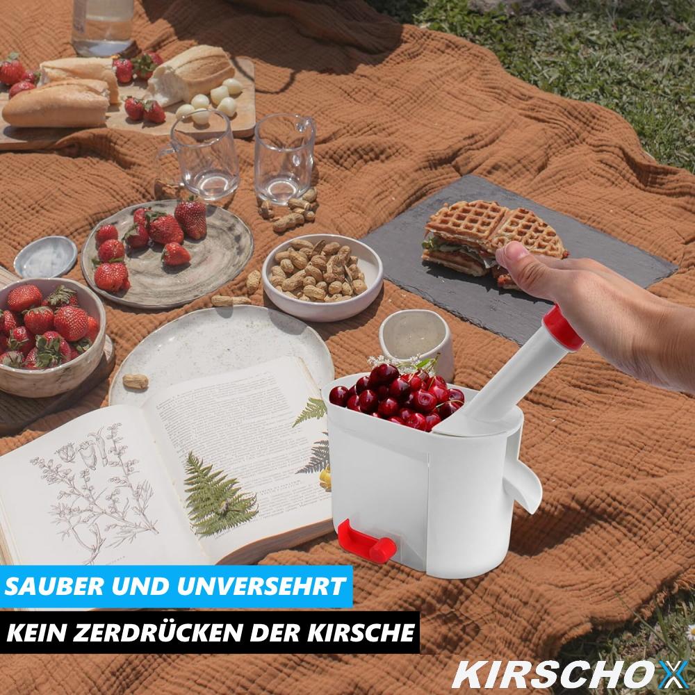 KIRSCHOX Cherry Pitter Cherry Stoned Cassette Cherry Stoned Remover с кассетой для удаления косточек