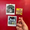 Plastic Realistic Egg Refrigerator Magnet 3D Printing Miniature Food Model Magnet  Party Favors