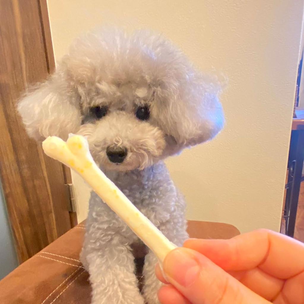 Petio The Power of Lactic Acid Bacteria Dental Bone SS Size 12 Pieces