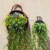 1 Set Plant Basket Handmade Weaving Multi-Function Rattan Wall Fence Hanging Pot Plants Holder for Garden
