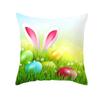Easter Decorative Pillowcase Cartoon Bunny Egg Print Peach Skin Pillowcase Sofa Cushion Cover Bedroom Room Home Decoration
