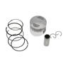 GY6-50 Piston and Piston Ring 39mm 0.8 0.8 2.0 STD Cylinder Motorcycle ATV Scooter Compatible Engine Parts