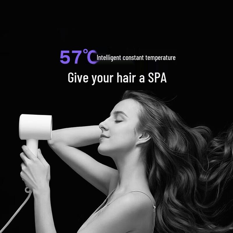 Xiaomi Mijia H300 Negative Ion Fast Dry Hair Dryer