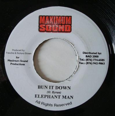 7-дюймовая пластинка ELEPHANT MAN - Bun It Down NONE Maximum Sound 2001 Ямайка Регги, Ска и Даб Б/У