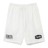 FINTA Мужские футбольные шорты-кросс FT4421 (0100) белый