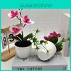 Butterfly Orchid Artificial Plant Home Decor Wedding Photography Prop With Plastic Material For Indoor Use