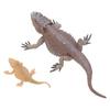 Lizard Life Cycle Figurine Toy Educational Interactive Lifelike Simulated Reptile Animal Figurine Se