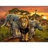5D Diamond Painting Animal Full Square/Round Drill Diamond Embroidery Lion Mosaic Elephant DIY Home Decor