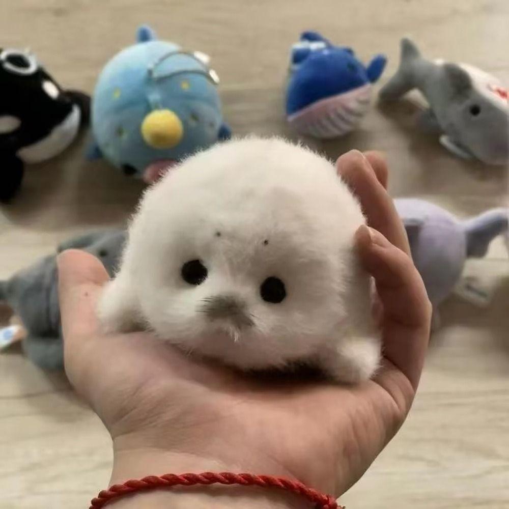 2 Pcs Simulation Style Seal Doll Baby Seal Seal Pendant Cartoon Plush Toy Home Decor