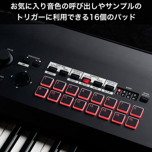 KORG KROSS 2 Cross Keyboard Synthesizer Stage Piano with 88 Keys, Super Matte Black Finish, Perfect for Music Production and Live Performance, Lightwe