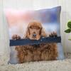 Pillowcase Cocker Spaniel  Modern Home Living Room Decoration