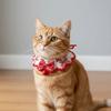 Handmade Cat Knitted Scarf Cartoon Puppy Collar Festive Gifts Chinese Style Pet Scarf  Winter