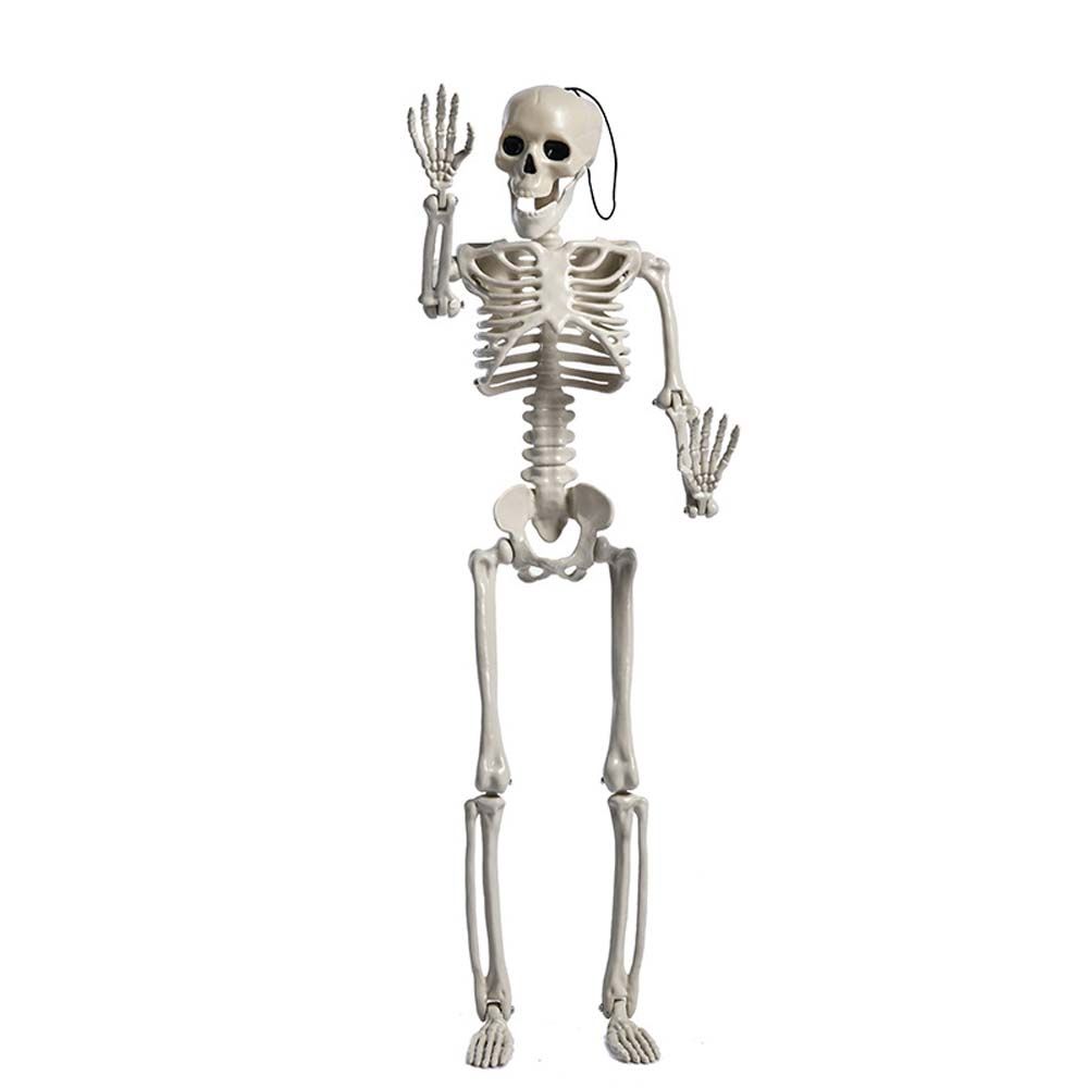 accessories Biology teaching Skeleton model Human Bones Halloween props Car Rearview mirror pendant