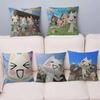 Popular Mascot T-Ttoro I-Inoue Cushion Cover Decorative Pillow Sofa Home Decor Case Pillow Cases