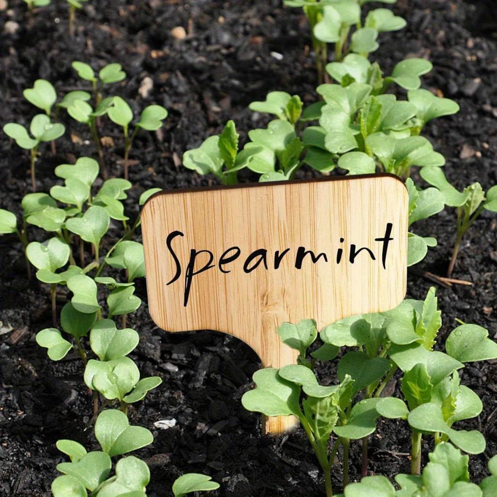 Этикетки для бамбуковых растений, бирки для растений, садовые маркеры T-типа для растений, овощные саженцы, таблички с именем, водонепроницаемые, рукописные бирки для улицы