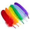 50Pcs15-20Cm Natural Goose Feather Multicolor Handicraft Dream Catcher Swan Feather Family Party Jewelry Decoration