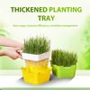 Горшок для посадки ростков, лоток для проращивания рассады, поднос для выращивания пшеницы, прорастания