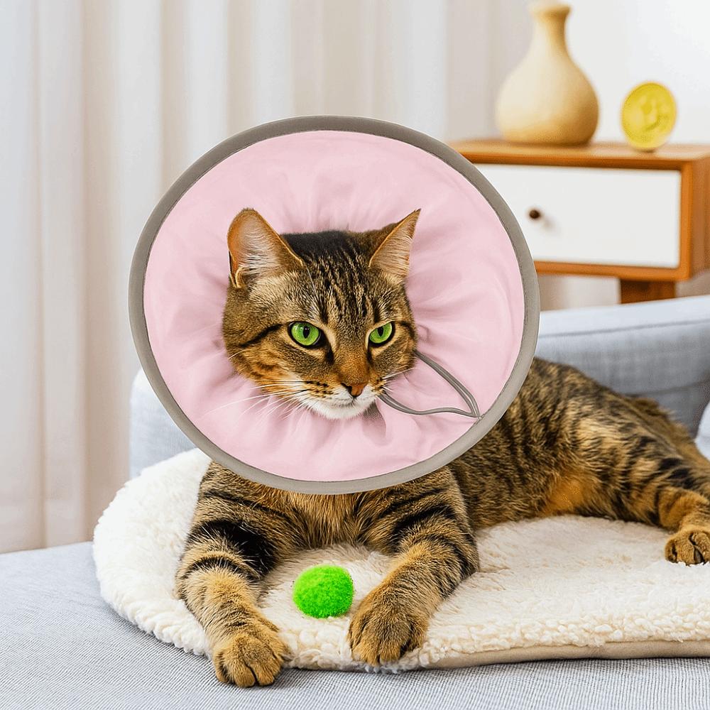 Anti Biting Pet Elizabethan Collar Anti-licking Cat Protective Collar  Neck Recovery
