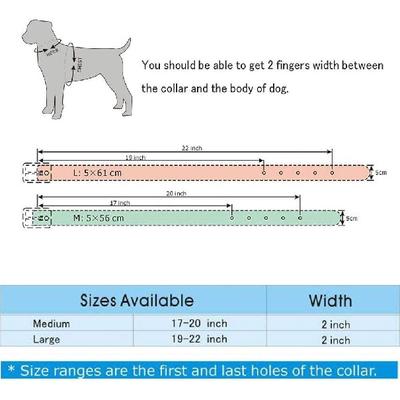 Собаки – Ошейники и поводки для собак
