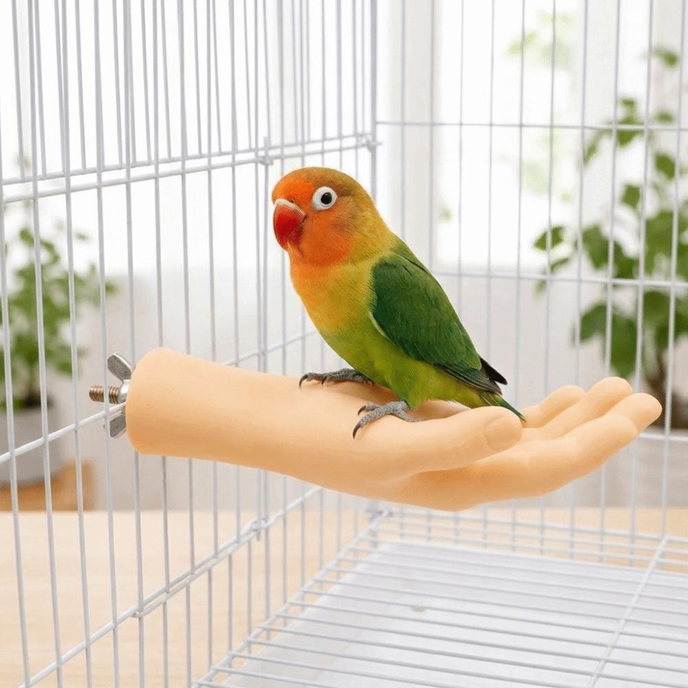 Bite Resistant Simulated Hand Shaped Bird Stand Wear Resistant Parrot Standing Stick Perch Shelf