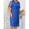 Women's Summer Large-size Dress Embroidered Lace Slim Dress