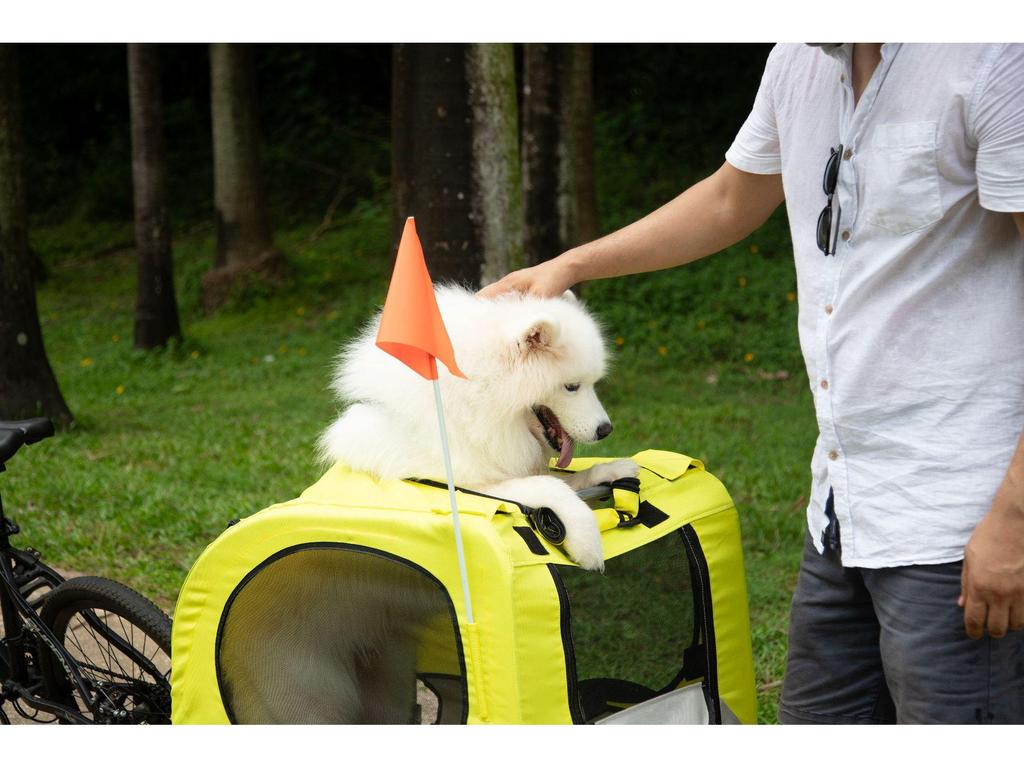 Детская велосипедная коляска-прицеп: Задний, складной, дышащий переноска для собак и кошек - Идеально подходит для велопрогулок и прогулок на открытом воздухе.