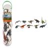 CollectA Dinosaur Figures In Tube Gift Set (Set of 10) (A)
