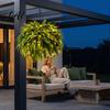 Farmhouse Style Entryway Decor Pre-Lit Artificial LED Lights Warm Ferns with UV Resistant Faux Hanging Plants for Outdoor Patio Front Porch