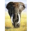 DIY Elephant 5D Diamond Painting Full Round Drill Animal Diamond Embroidery Cross Stitch Kits Wall Art Home Decor