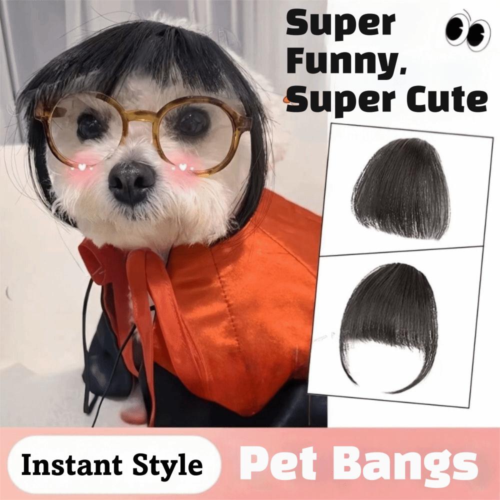 Bangs Style Cat Wig Fluffy Texture Dog Wig Funny Pet Headwear Cosplay Wig Costume Party