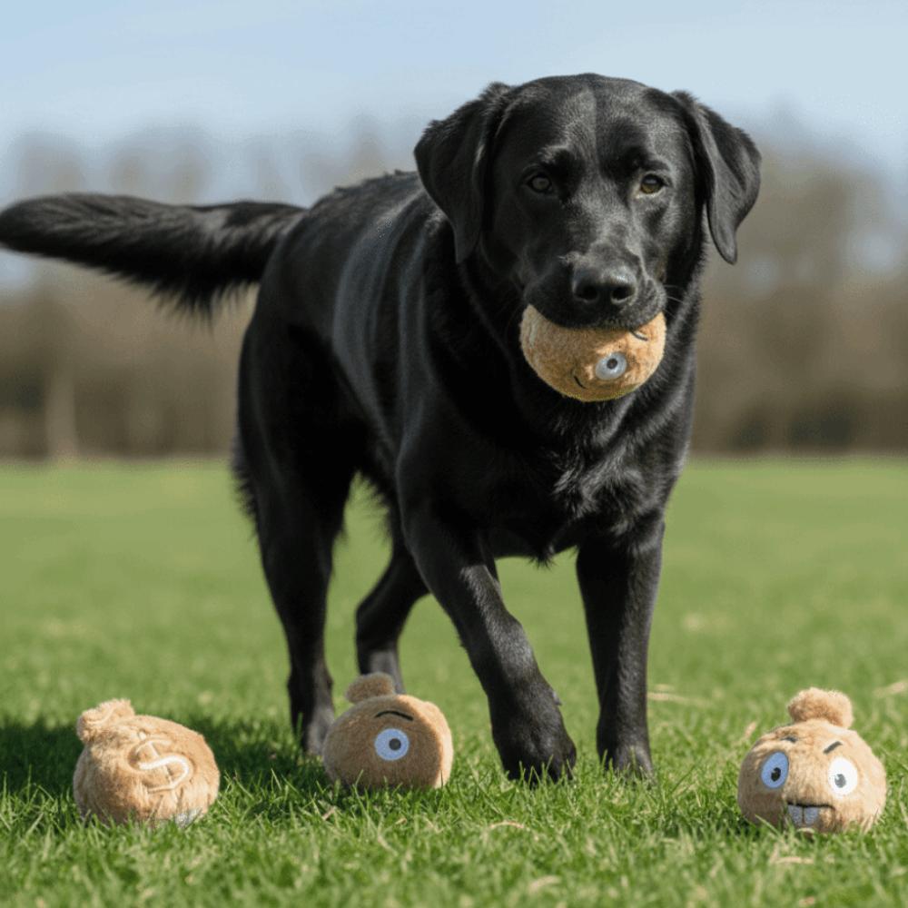 Bite Resistant Dog Elastic Ball Money Bag Shape Pet Interactive Ball Interactive Play