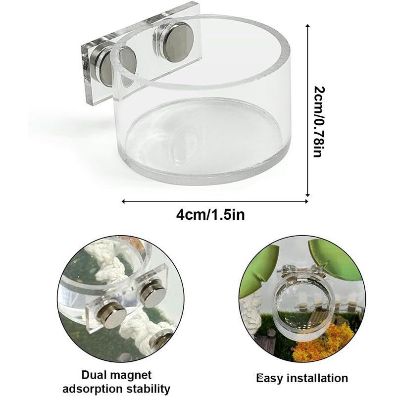 Mantis Feeding Food Bowl Set Easy Clean Reptile Insect Dish with Clip Feeder for Tank Habitat